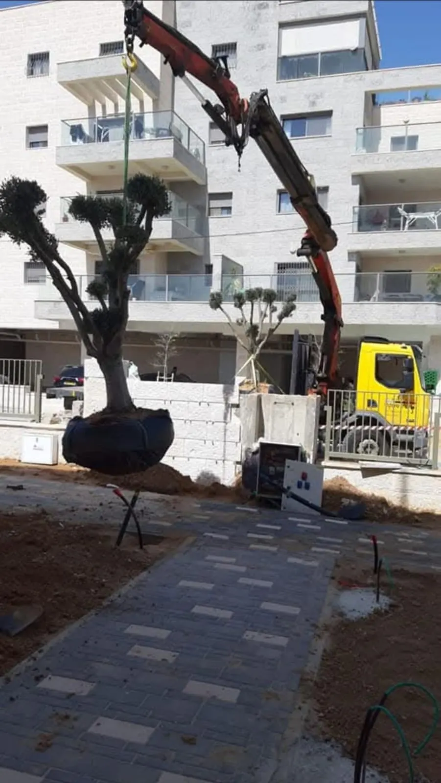 מנוף המשמש לעבודה עם עץ לצד מבנה